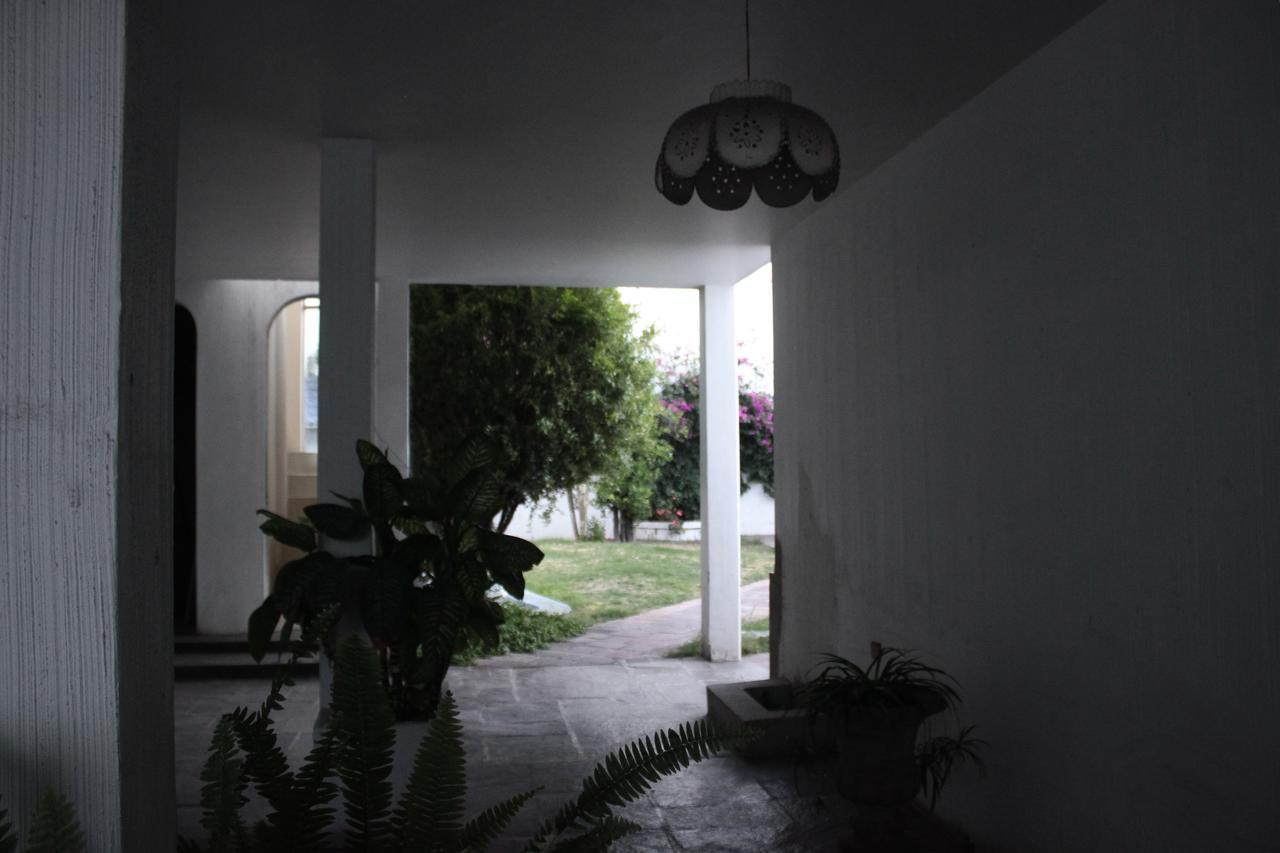 Allende 304 Hostel Aguascalientes Zewnętrze zdjęcie
